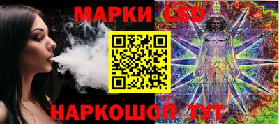 шишки Заволжье