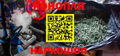 шишки Заволжье