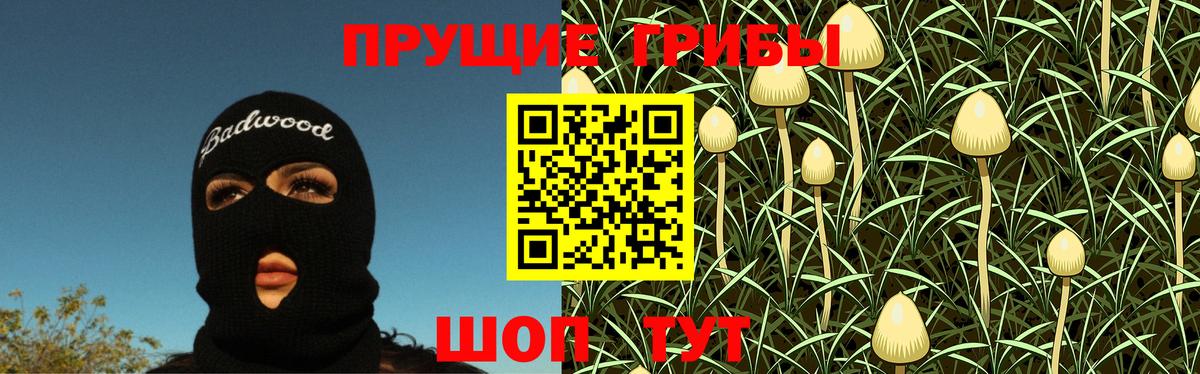 Галлюциногенные грибы прущие грибы Усинск